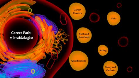 Microbiologist Career Path By Nicholas Hammett On Prezi