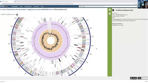 Comprehensive Genome Analysis Full Genome Report Youtube