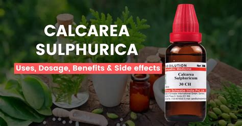 Calcarea Sulphurica 30 200 Uses Benefits Side Effects