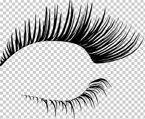 Eyelash clipart black and white, Eyelash black and white Transparent FREE for download on ...