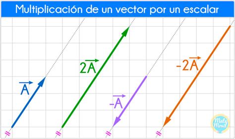 Multiplicación De Un Vector Por Un Escalar Matemóvil