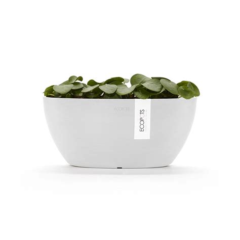 Ecopots Pflanzschale Sofia Wei Cm X Cm X Cm Kaufen Bei Obi