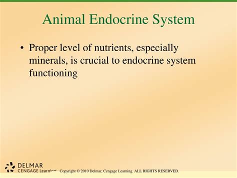 Ppt Unit 26 Animal Anatomy Physiology And Nutrition Powerpoint