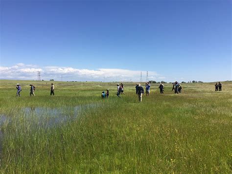 Vernal Pools Prairie City Svra