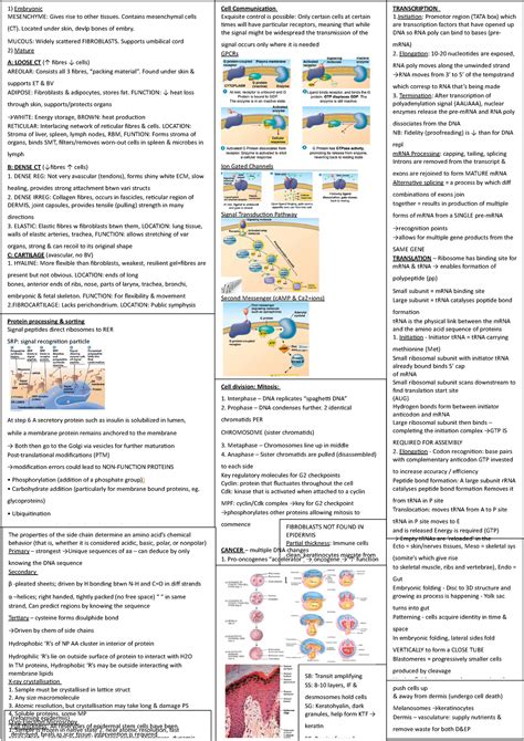 Biosci 107 Cheat Sheet Mid Term Test TRANSCRIPTION 1 Promotor Region