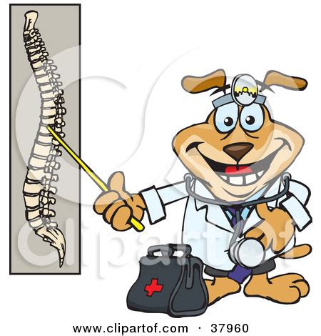 Spinal cord injury clipart 20 free Cliparts | Download images on Clipground 2024