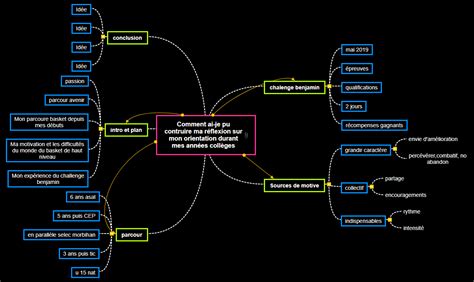 Oral Mindview Mind Mapping Software