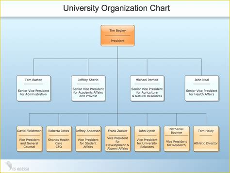 Hierarchy Chart Template Free Of 40 organizational Chart Templates Word ...