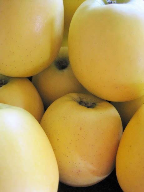 Stacked Apples Free Stock Photo Public Domain Pictures