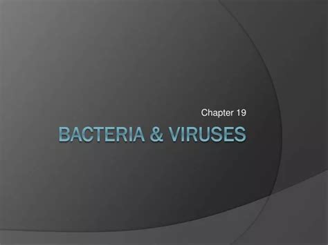 Ppt Bacteria And Viruses Powerpoint Presentation Free Download Id1901102