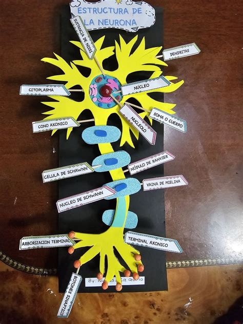 Maqueta 3d Neurona In 2024 Biology Projects Neuron Model Science Exhibition Projects