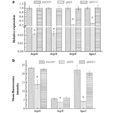 Transcription Of T3ss Related Genes In Xanthomonas Oryzae Pv Oryzae