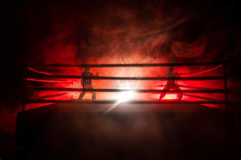 Blurred Background Mma Fight Octagon Stage Ring Extreme Sport Mixed