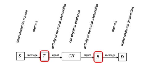 Shannon's diagram in the adapted version of this article | Download ...