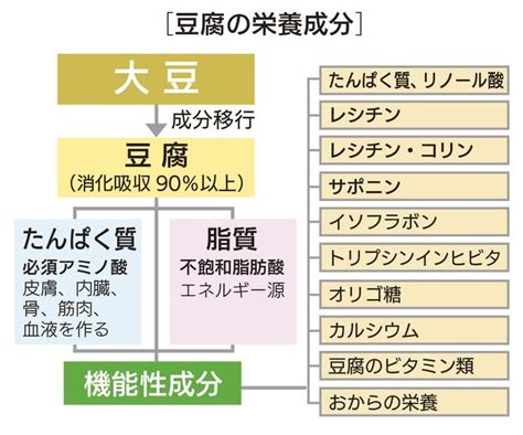 「豆腐の栄養と健康について おとうふセミナー」豆腐マイスターが伝授 脳活新聞