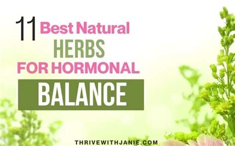 11 Best Herbs To Balance Hormones Naturally For Women Thrive With Janie