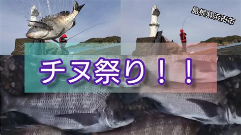 『フカセ釣り』 シマアジとチヌが連発 島根県 浜田市 山陰釣り新報