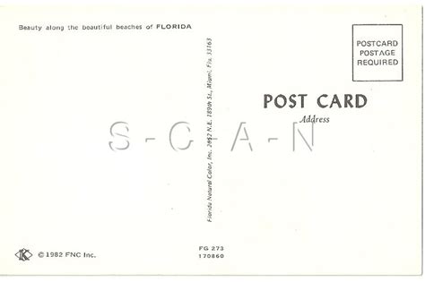 Original S Risque Pinup Pc Brunette In Bikini Lay On Beach Sunshine Ebay Uk