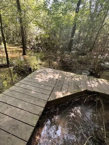 Best Trail Running Trails In Conroe Alltrails