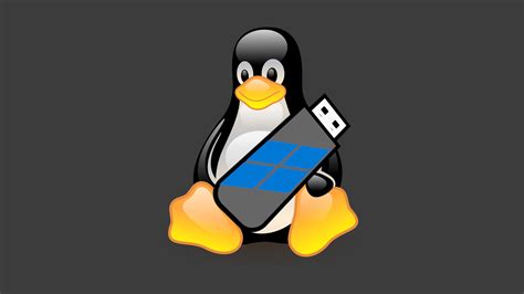 Linuxtan Windowsa Dönme Rehberi