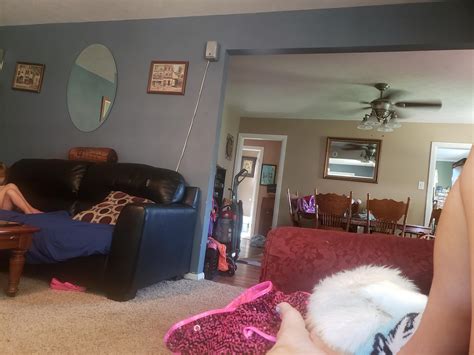 I need help organizing my life. I spend much time about organizing on