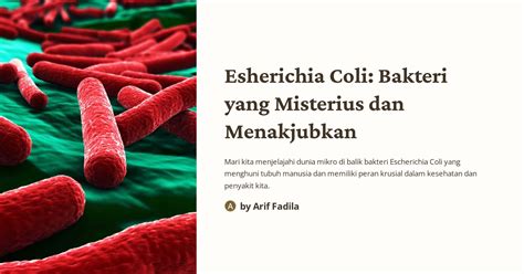 Esherichia Coli Bakteri Yang Misterius Dan Menakjubkan