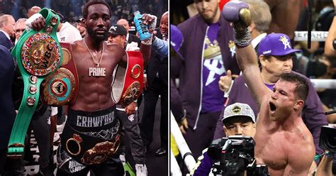 Canelo Alvarez Gives Verdict On Potential Terence Crawford Fight After