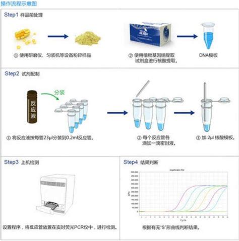 pcr扩增的原理和具体实验步骤 循环 温度 模板