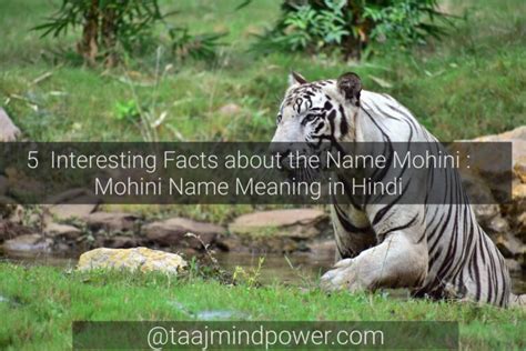 5 Interesting Facts About The Name Mohini Mohini Name Meaning In Hindi