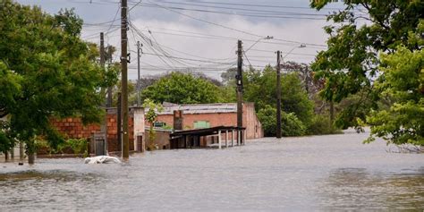 Fotos Enchente Do Rio Uruguai Tira Milhares De Casa No Oeste