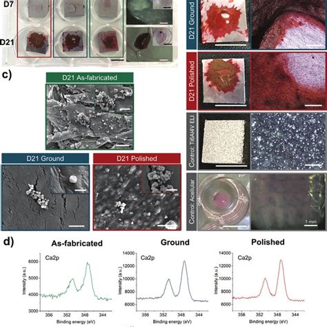 Mscs Osteogenic Differentiation And Cell Mineralization A Calcium Download Scientific