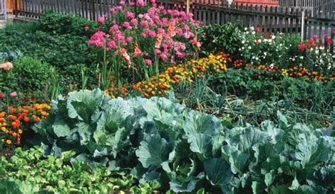 Make Compost Tea For Your Garden Soil (Excerpt) - Hobby Farms