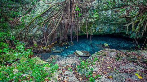 Cotubanamá National Park Parque Del Este · Visit Dominican Republic