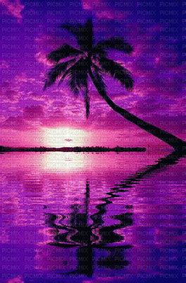 PURPLE OCEAN SUNSET, purple , ocean , sunset , sunrise , sun , rise , set , sea , water , gif ...