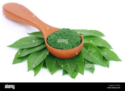 Ayurvedic henna leaves with paste over white background Stock Photo - Alamy