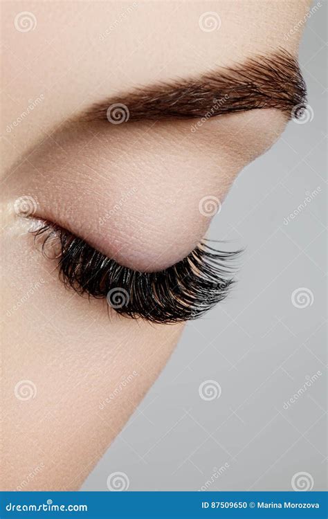 Beautiful Female Eye with Extreme Long Eyelashes, Black Liner Makeup. Perfect Make-up, Long ...