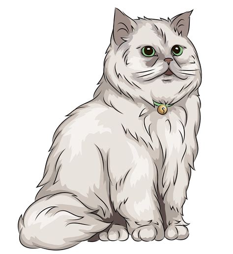 Persian Cat Png Transparent Png All