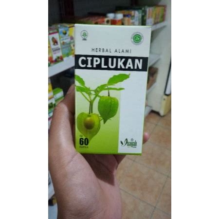 Jual Kapsul Daun Ciplukan Herbal Radang Tenggorokan Batuk Pembengkakan