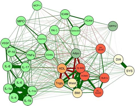 Correlation Network The Thickness Of The Lines Represent The Strength