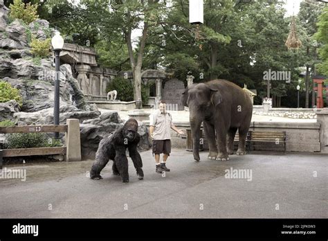 KEVIN JAMES, ZOOKEEPER, 2011 Stock Photo - Alamy