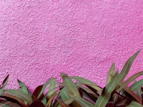 Pink Wall Background Stock Photos, Images and Backgrounds for Free Download