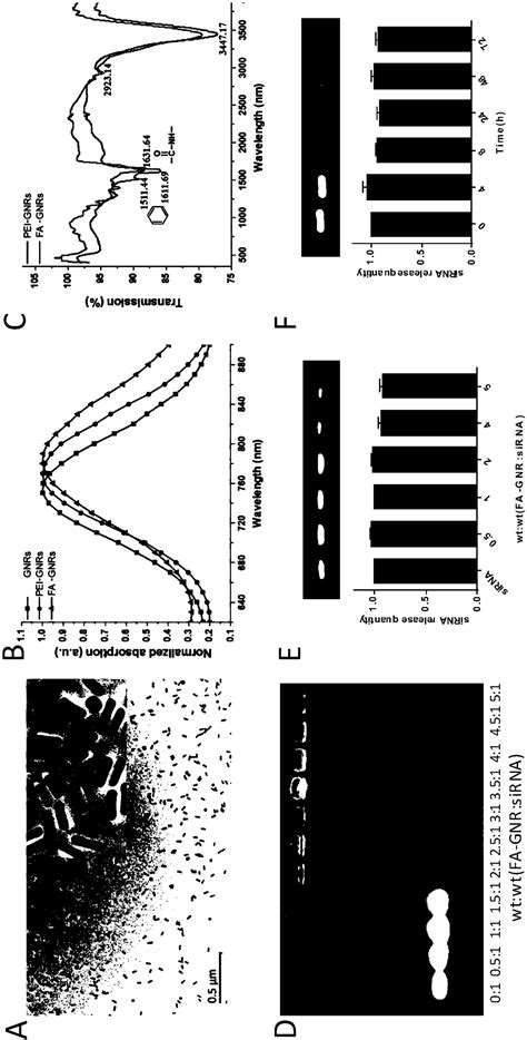 Multi Functional Tumor Targeted Nanometer Preparation And Construction