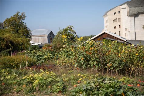 Living Farms Wissen über Biodynamische Landwirtschaft sammeln Werde