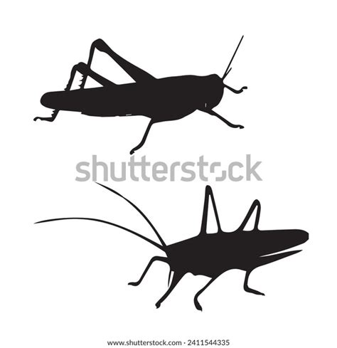 Vector Illustration Grasshopper Silhouette Stock Vector Royalty Free 2411544335 Shutterstock