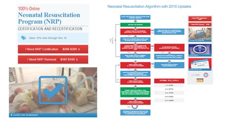 Neonatal Resuscitation Algorithm