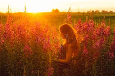 Beautiful Girl On Field Sun Backlight Sunrise Stock Image Image Of