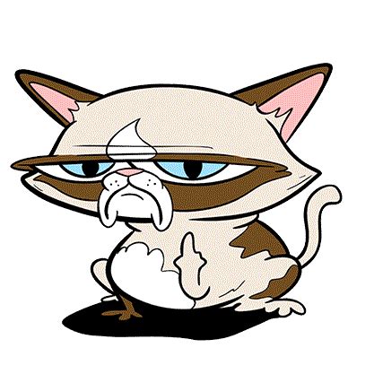 Fuck You Cat Stickers Find Share On Giphy