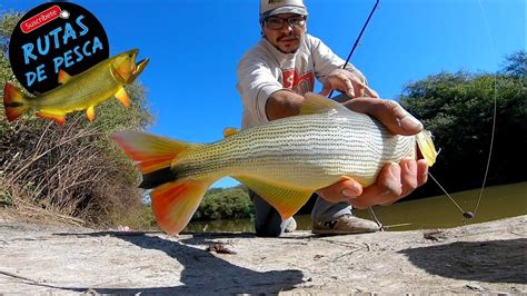 Nunca Pens Pescar Tanto En Este Lugar Lleno De Dorados Quede