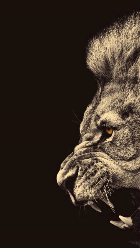 Lion iPhone Wallpapers - Top Free Lion iPhone Backgrounds - WallpaperAccess