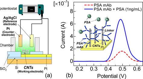 Sensors Free Full Text Label Free Electrical Detection Using Carbon